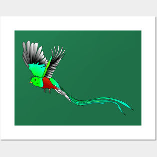 Quetzal sacred bird Posters and Art